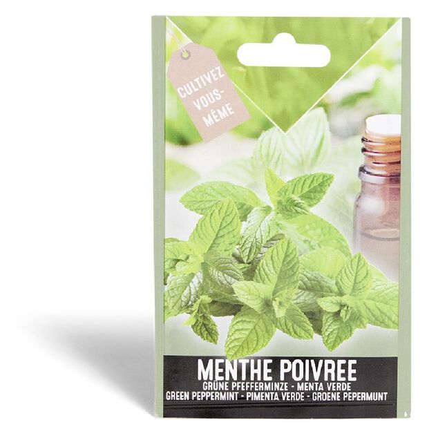 Semence menthe poivrée 0,5g