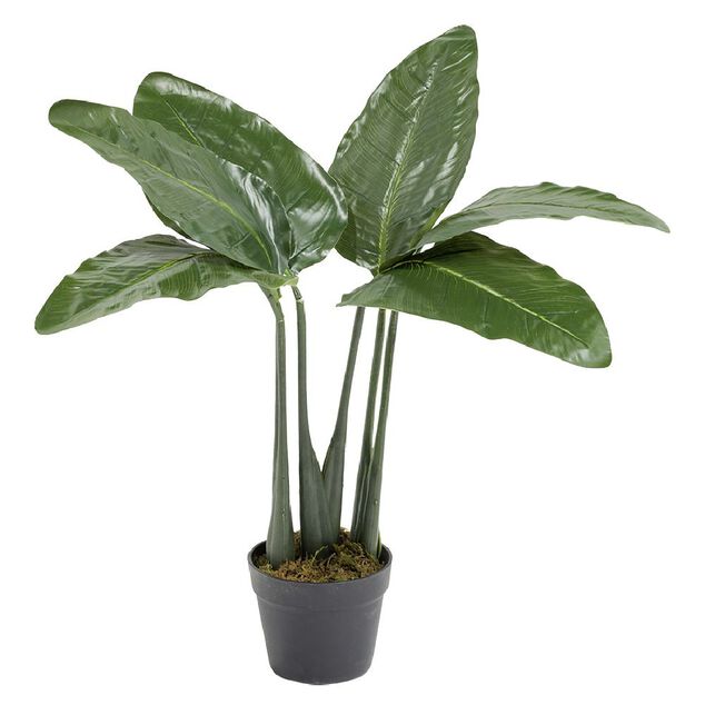 Plante oiseau du paradis artificiel &Oslash;40xH75cm