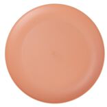 Assiette plate ronde plastique &Oslash;23,5cm (3 mod&egrave;les)