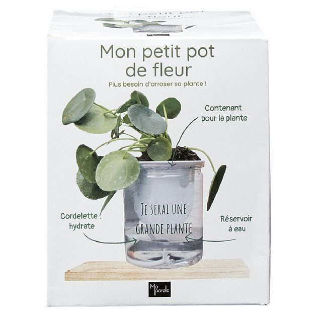 Mon petit pot de fleur