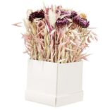 Bo&icirc;te de fleurs s&eacute;ch&eacute;es roses 9,5x9,5x9,5cm