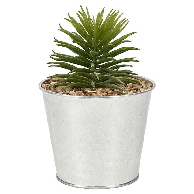 Plante grasse artificelle pot en zinc