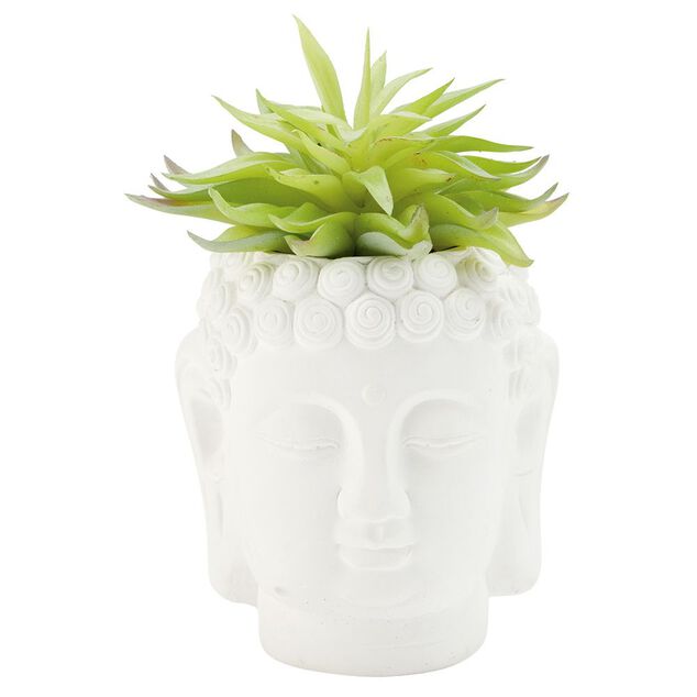 T&ecirc;te Bouddha avec plante