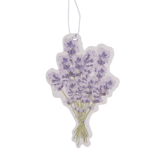 D&eacute;sodorisant pour voiture carte (3 mod&egrave;les)