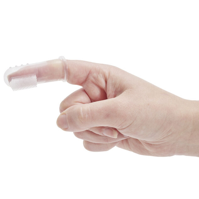 Brosse à dents pour animaux