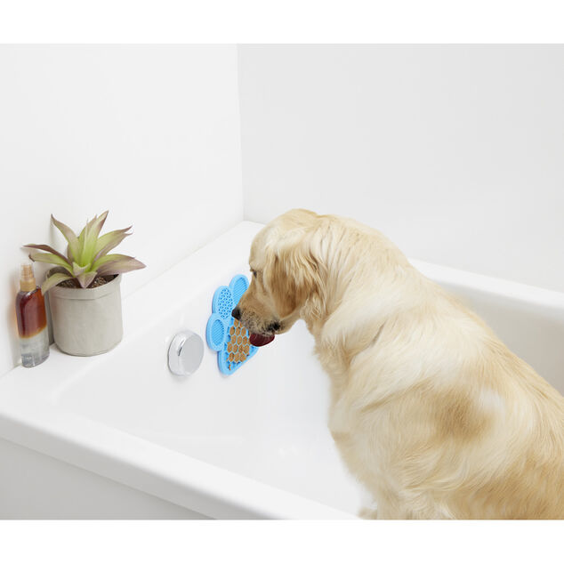 Tapis de l&eacute;chage pour animaux forme patte de chien silicone bleu 18x18cm