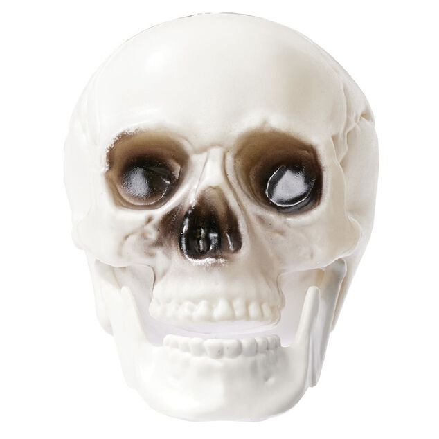 Cr&acirc;ne d&eacute;co Halloween blanc x6