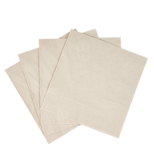 Serviette carr&eacute; unie blanc lin 2 plis en papier x50
