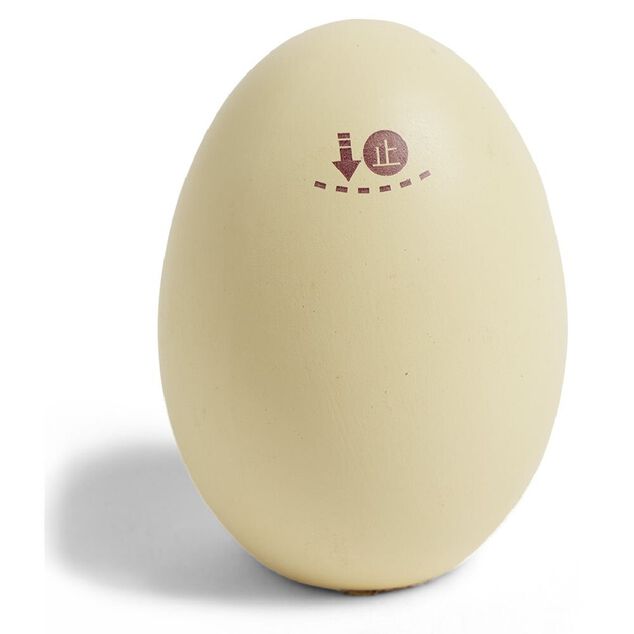 Haricot magique dans oeuf avec message