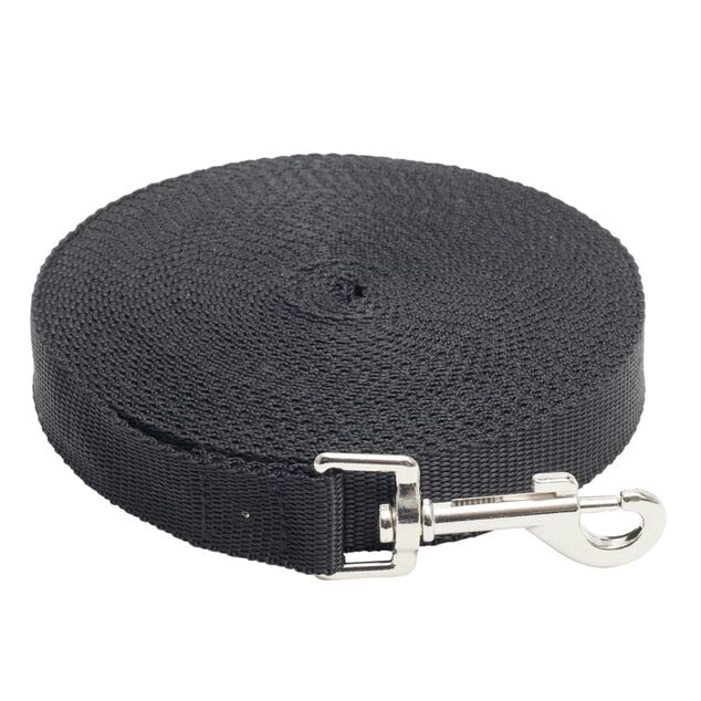 Laisse pour chien 9m longe noire