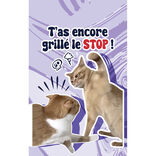 Parfum d'ambiance pour voiture senteur lavande