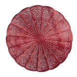Set de table rond forme fleur rouge Ø38cm