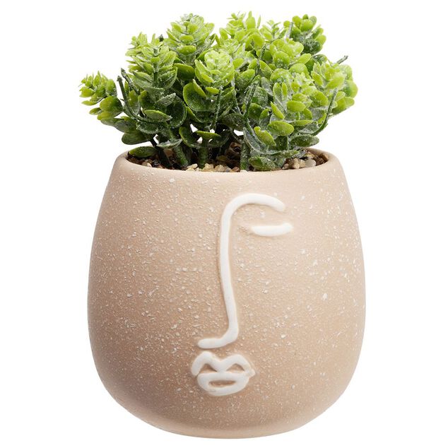 Plante artificielle dans pot en gr&egrave;s d&eacute;co visage