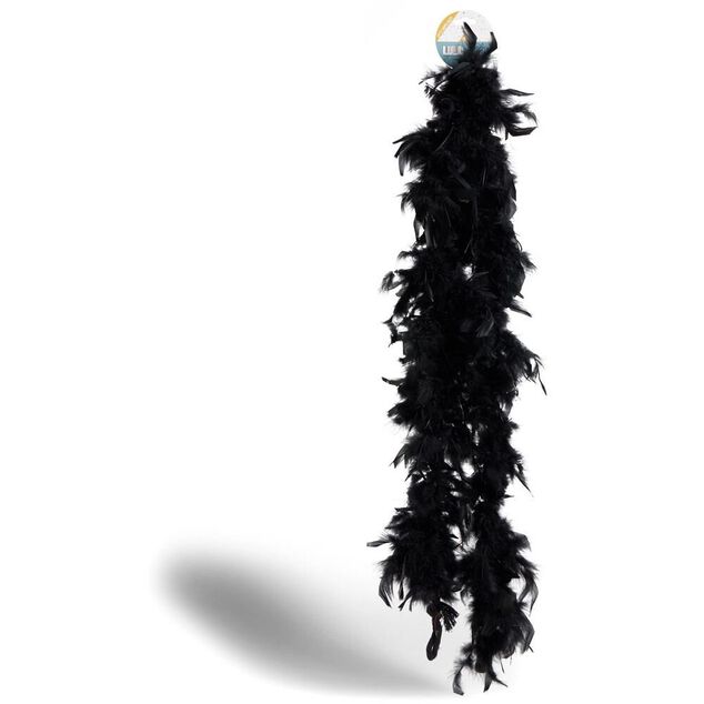 Boa plume noir ou blanc 200cm