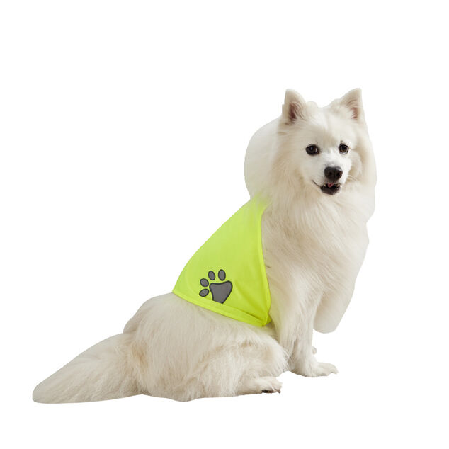 Gilet de s&eacute;curit&eacute; pour chien r&eacute;fl&eacute;chissant Taille M