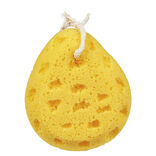 Éponge pour le corps bain douche