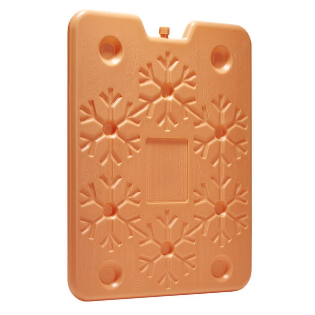 Bloc pain de glace 900ml plastique coloré 25x32cm (4 modèles)