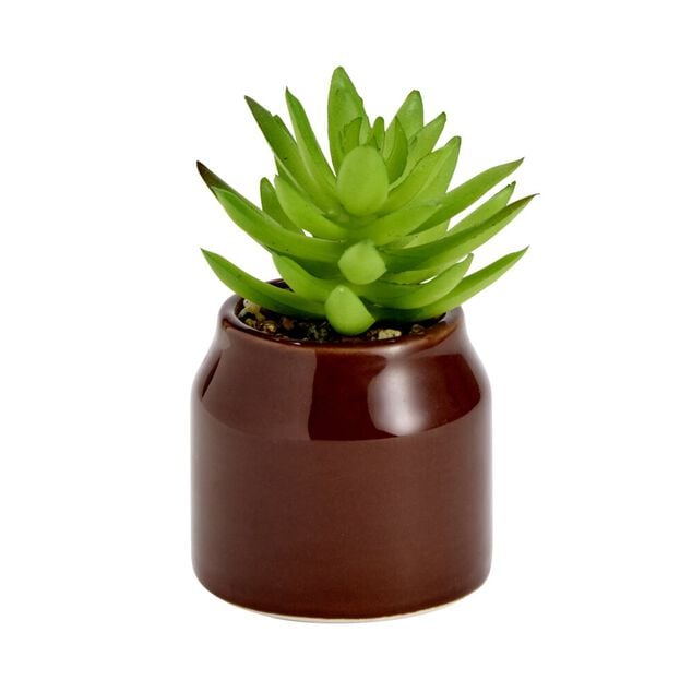 Plante grasse artificielle dans pot dolomite uni &Oslash;6xH8cm (4 mod&egrave;les)