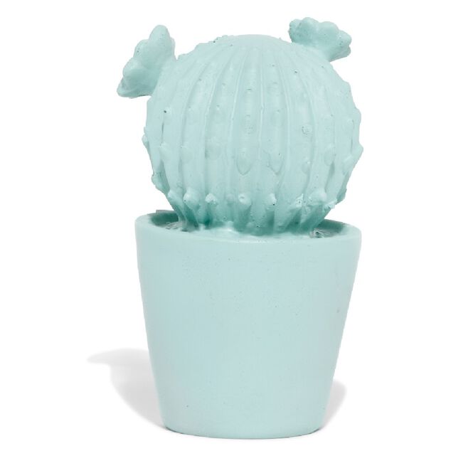D&eacute;coration pot cactus