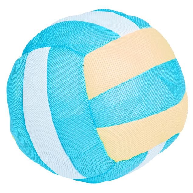 Ballon n&eacute;opr&egrave;ne