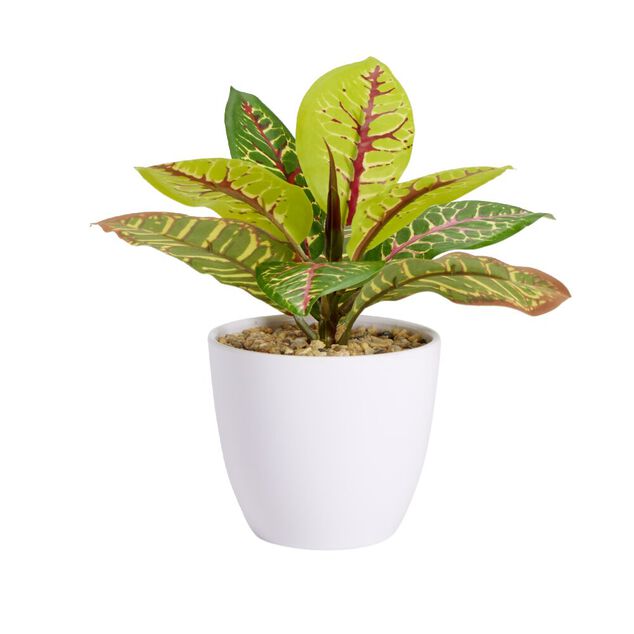 Plante verte artificielle pot blanc H20cm - 2mod&egrave;les