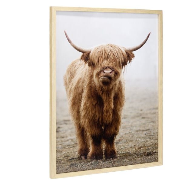 Cadre bois image vache Highland marron 40x50cm