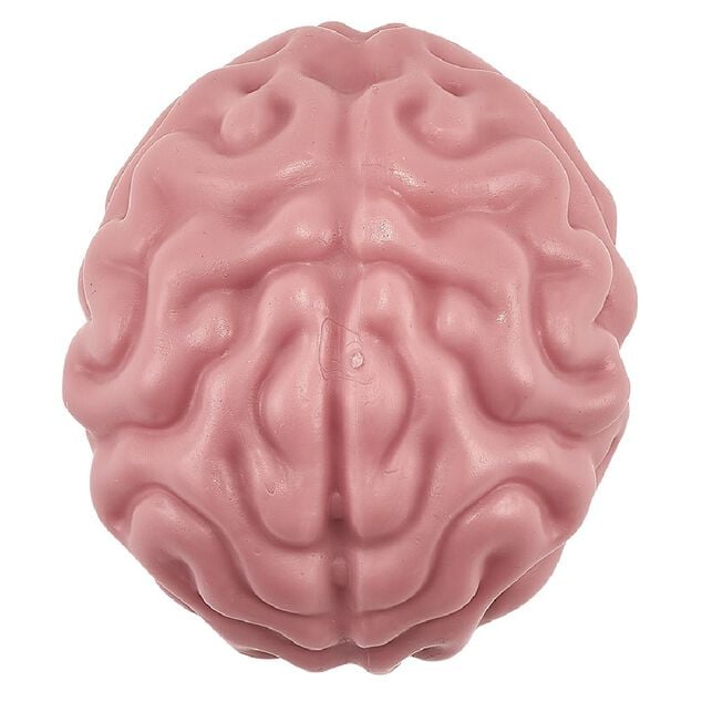 Cerveau anti stress rose