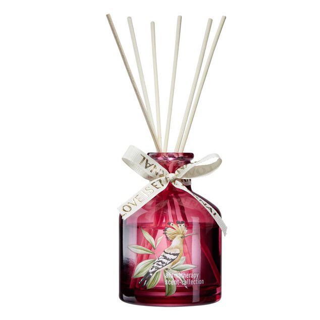 Diffuseur de senteur &agrave; b&acirc;tonnets bouteille verre color&eacute;e &Oslash;7xH10cm (3 mod&egrave;les)