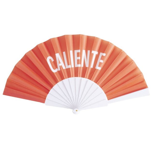 &Eacute;ventail avec message amusant L23cm (6 mod&egrave;les)