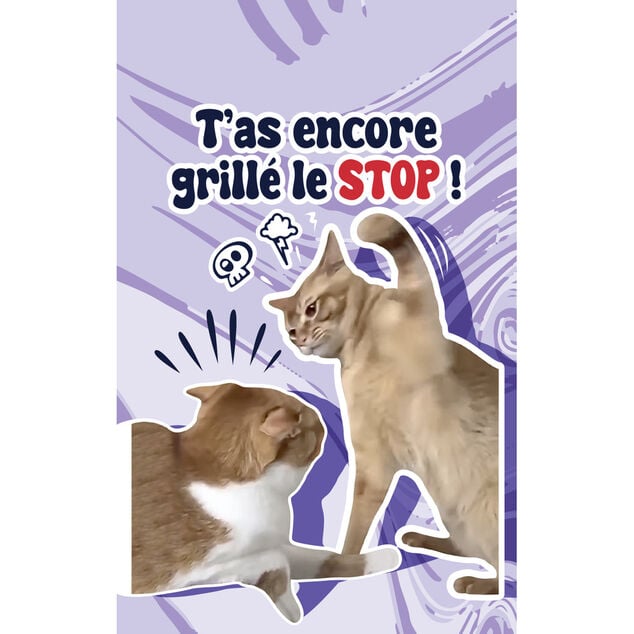 Parfum d'ambiance pour voiture senteur lavande