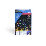 Guirlande lumineuse ext&eacute;rieure 24LED multicolores &agrave; piles 1,7m