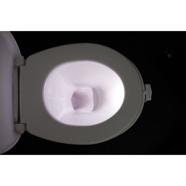 Lumi&egrave;re LED pour WC