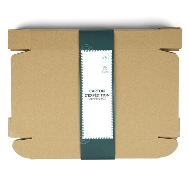 Bo&icirc;te carton d'exp&eacute;dition marron x5 format 30x20xH5cm