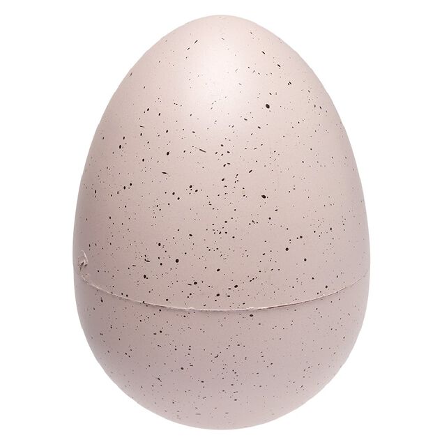 oeuf de dinosaure magique