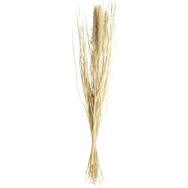 Bouquet Foxtail s&eacute;ch&eacute; marron H85cm