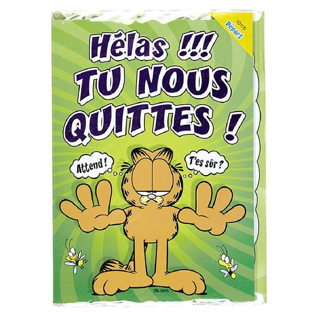 Carte maxi Garfield
