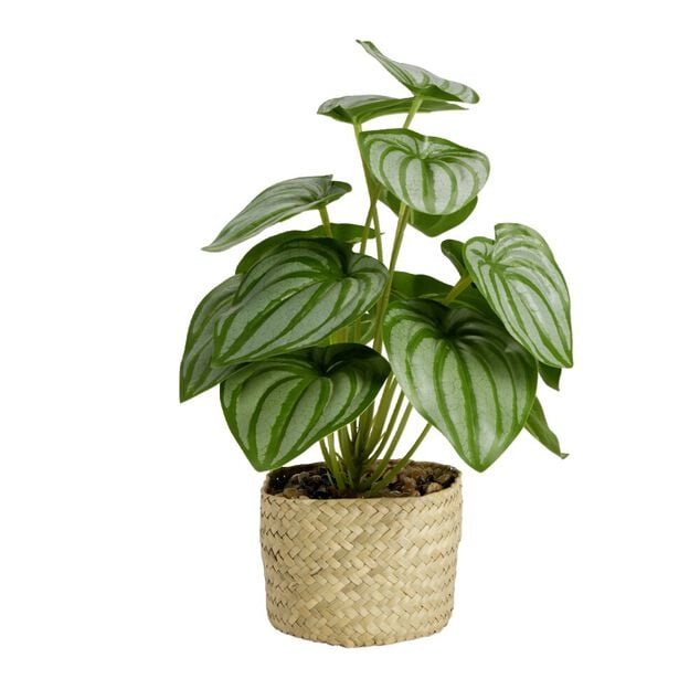 Plante verte artificielle en pot panier &Oslash;12xH30cm - 2 mod&egrave;les