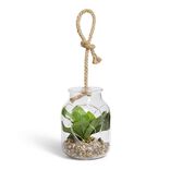 Pot en verre LED avec plante verte artificielle Ø11,5xH15,5cm