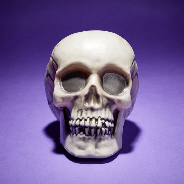 Cr&acirc;ne d&eacute;coration Halloween 19x15xH16cm