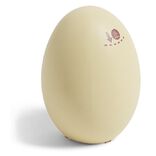 Haricot magique dans oeuf avec message