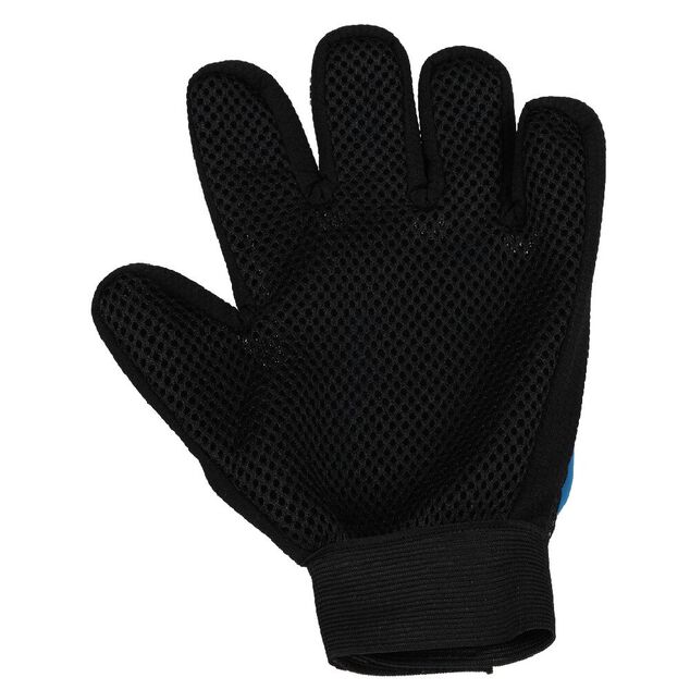 Gant de brossage pour chien et chat