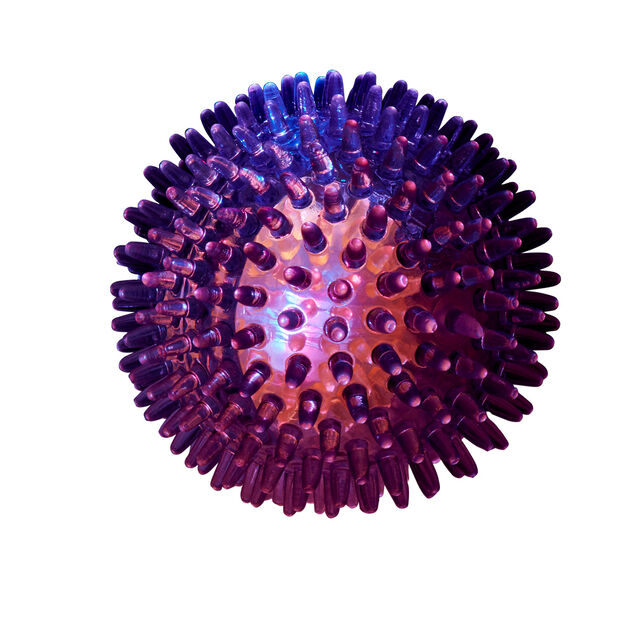 Balle pour chien lumineuse LED (3 modèles)