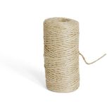 Fil naturel en papier L50m