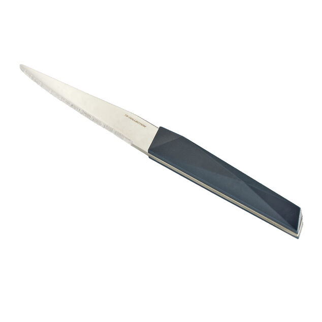 Couteau &agrave; steack inox manche plastique (3 mod&egrave;les)