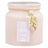 Bougie parfum&eacute;e dans bonbonni&egrave;re senteur fruit de la passion 30H