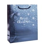 Sac cadeau Noël boréal 26x9xH32cm (2 modèles)