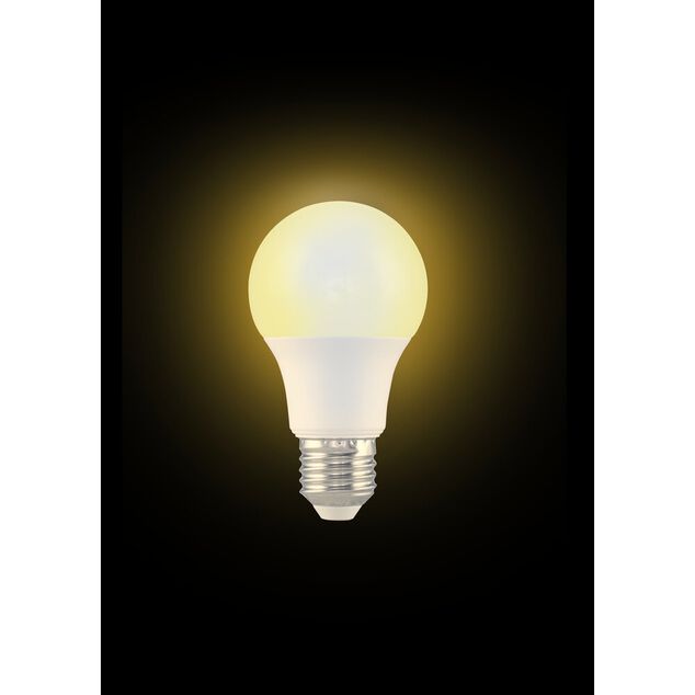 Ampoule LED E27 A60 blanc chaud 8,5W=60W 806lms classe F