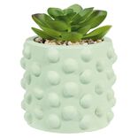 Plante artificielle pot bubble &Oslash;7,5xH.11cm