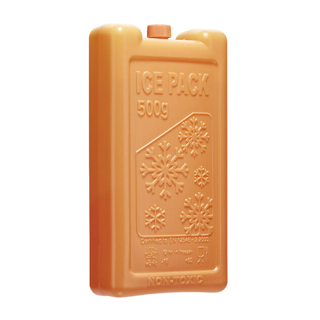 Bloc de glace réfrigérant 400ml L17,5x9x3,7cm (3 modèles)