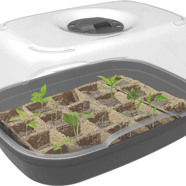 Mini serre de culture plastique gris 38x28xH20cm